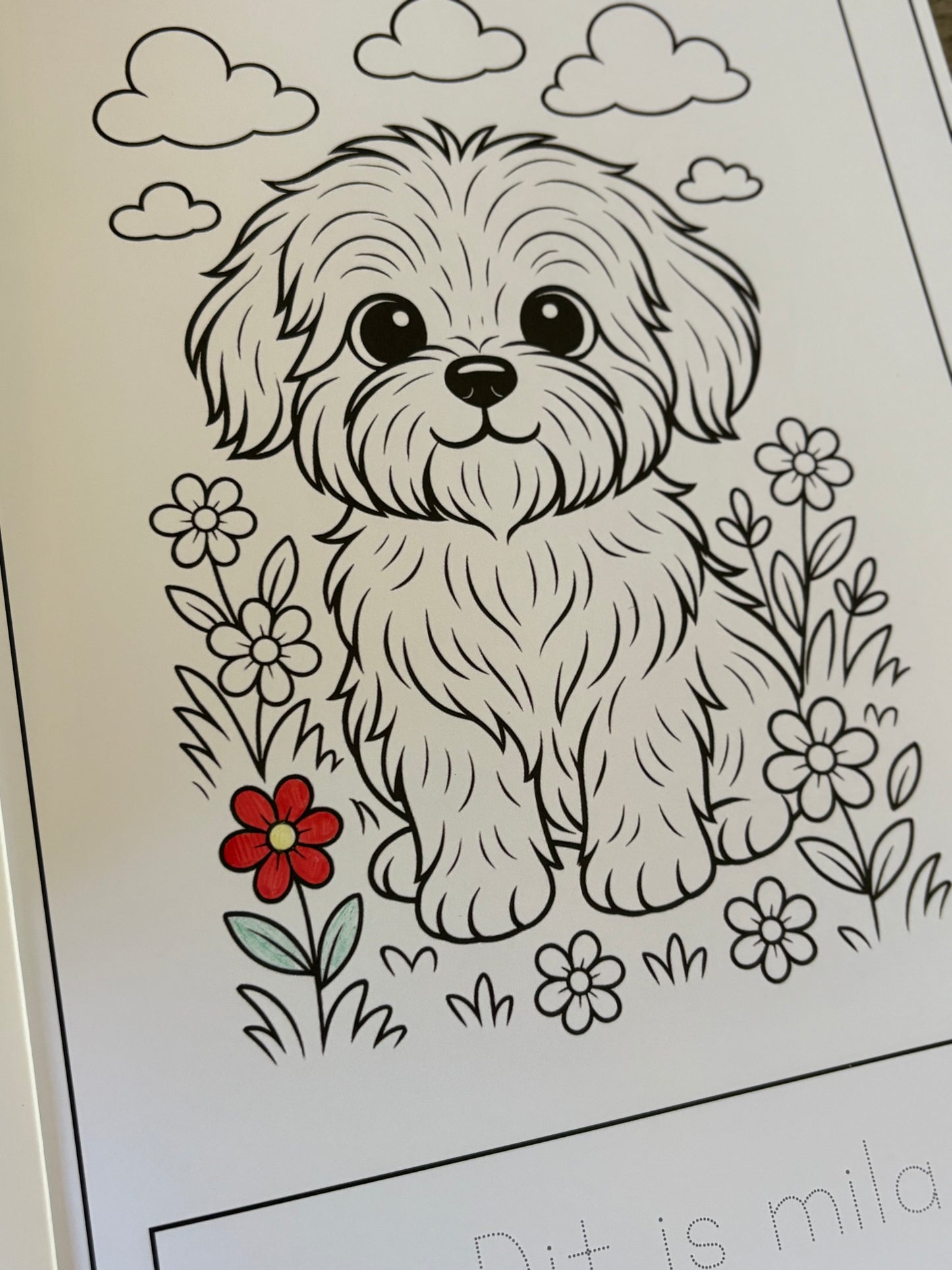 Kleurboek Mila en haar vriendjes