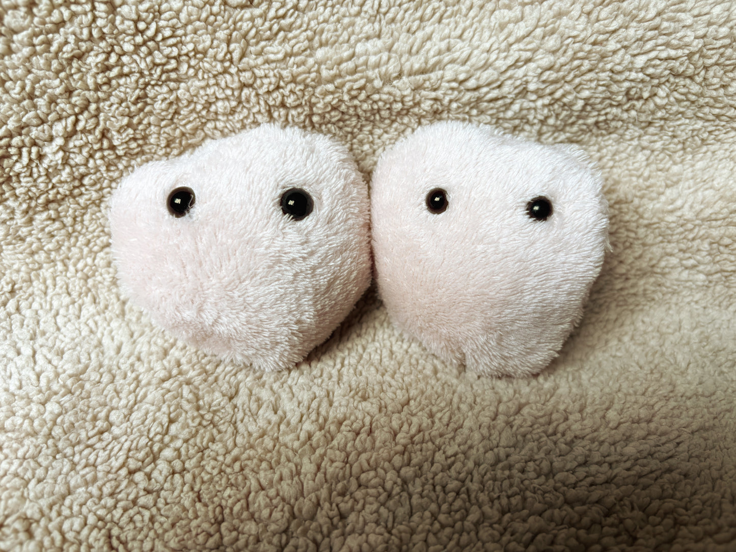 Worry Pall - AntiStress