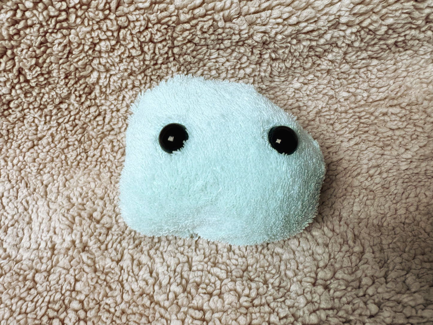 Worry Pall - AntiStress